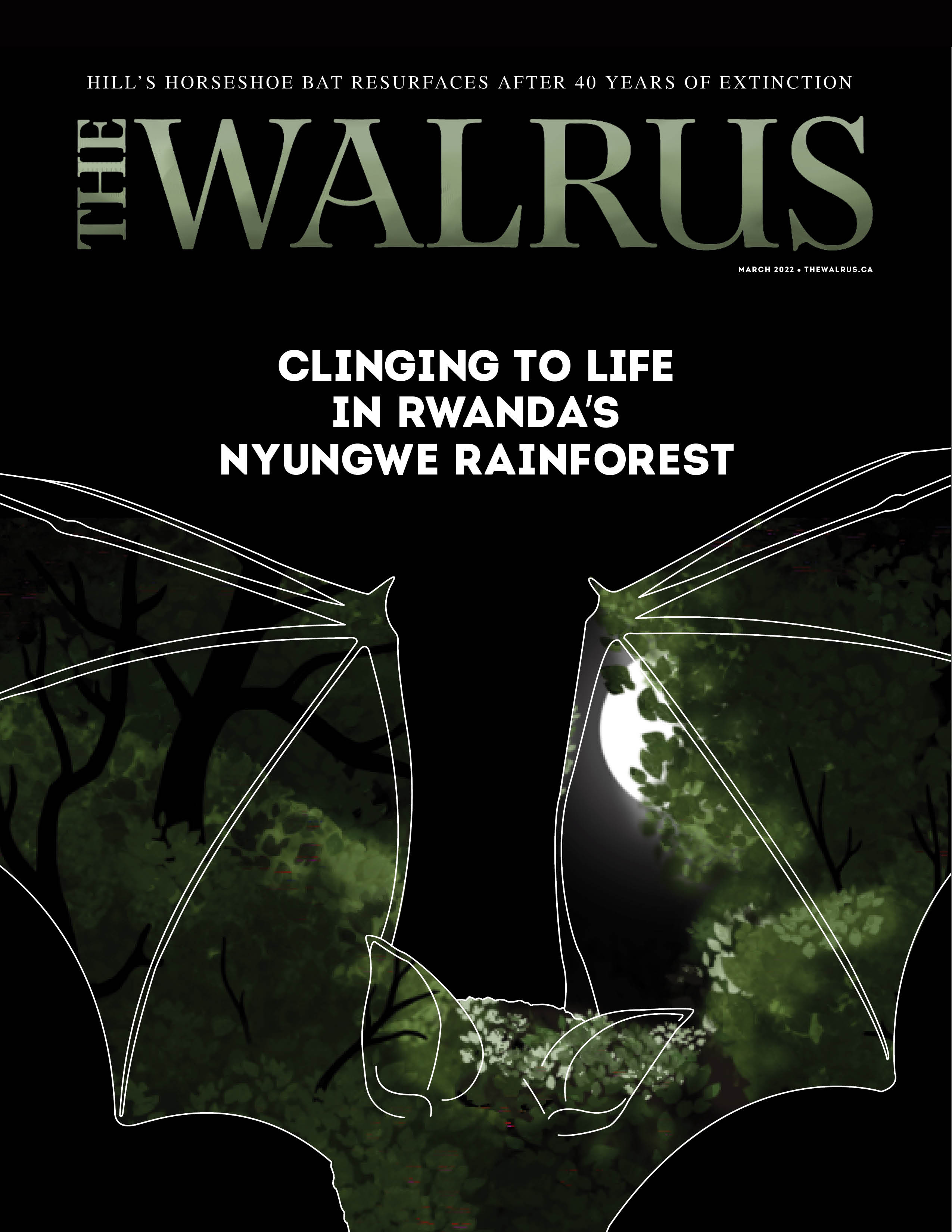 Cover for The Walrus with bat and no text